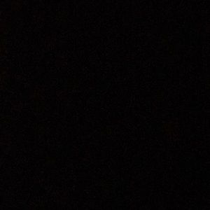 Meet your Posher, Tassy